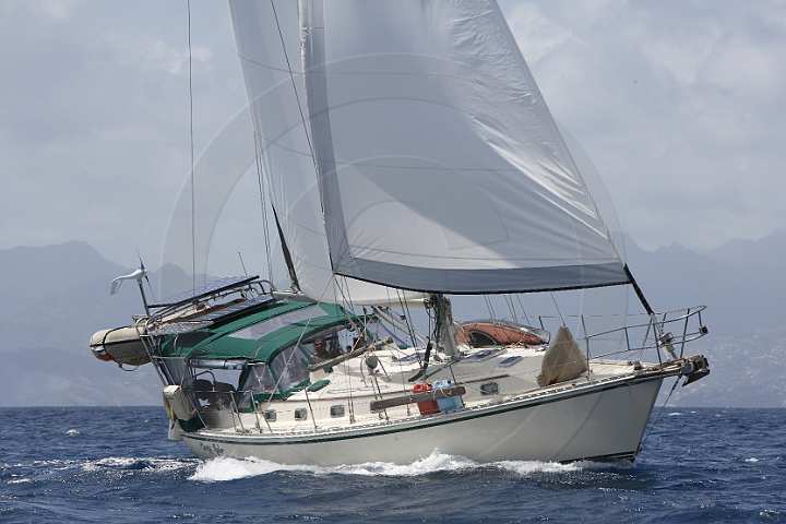 BP150603-0007.JPG