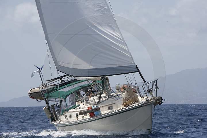 BP150603-0009.JPG