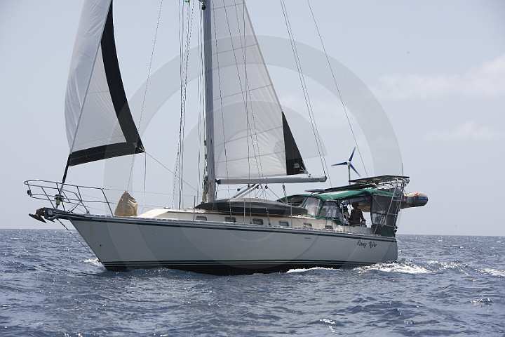 BP150603-0029.JPG